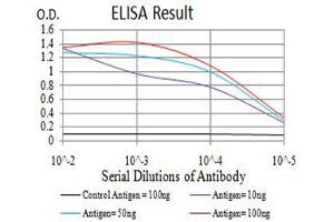 ELISA image for anti-Transcription Factor AP-2 gamma (Activating Enhancer Binding Protein 2 Gamma) (TFAP2C) (AA 341-450) antibody (ABIN5611194)