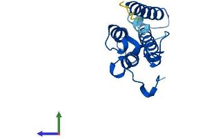 Protein Structure (PS) image for ORM1-Like 2 (ORMDL2) (AA 1-153) protein (His tag) (ABIN7550328)