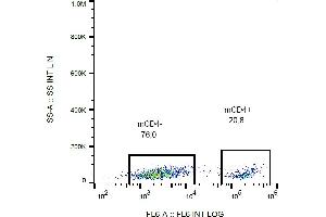 Flow cytometry analysis (surface staining) of CD4 in murine splenocytes with anti-CD4 (GK1. (CD4 抗体)