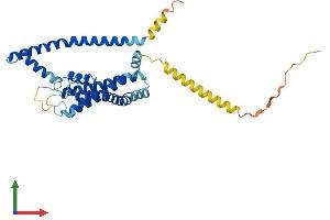 Protein Structure (PS) image for Potassium Channel Subfamily K Member 1 (KCNK1) (AA 1-336) protein (His tag) (ABIN7554302)