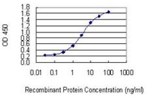 Detection limit for recombinant GST tagged KIF1C is 0. (KIF1C 抗体  (AA 1004-1103))