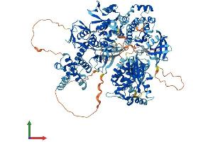 AlphaFold protein structure predicition of Human Recombinant TYK2 Protein, UniprotID P29597