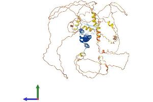 AlphaFold protein structure predicition of Human Recombinant NFE2L3 Protein, UniprotID Q9Y4A8