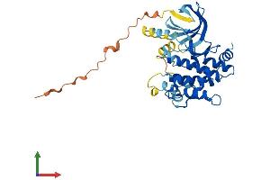 Protein Structure (PS) image for Mitogen-Activated Protein Kinase Kinase 6 (MAP2K6) (AA 1-334) protein (His tag) (ABIN7554610)