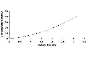Typical standard curve (C1q ELISA 试剂盒)