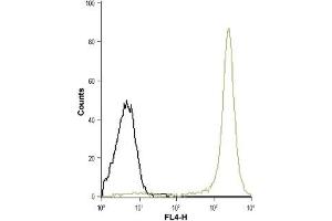 Cell surface detection of FPR1 in live intact human THP-1 acute monocytic leukemia cell line: (black line) Unstained cells + goat-anti-rabbit-Cy5. (FPR1 抗体  (Extracellular))