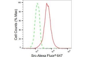 Flow cytometric analysis of Src expression in HeLa cells using Src antibody (ABIN7800055), 1:2,000). (Recombinant Src 抗体)
