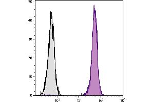 BALB/c mouse splenocytes were stained with Rat Anti-Mouse CD45-UNLB. (小鼠 anti-大鼠 IgG2b Antibody (FITC))