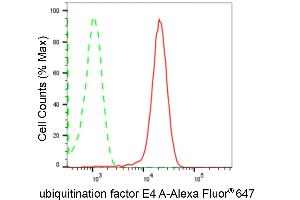 Flow cytometric analysis of ubiquitination factor E4 A expression in HepG2 cells using ubiquitination factor E4 A antibody (ABIN7800764), 1:2,000). (Recombinant UBE4A 抗体)
