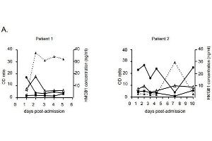 (A) Time course detection of HMGB1 and IgG against anti-HMGB1 (black triangle), anti-HMGB2 (black square) and anti-EBNA1 (black circle) on sequential plasma from patients 1 and 2. (兔 anti-人 IgG (Heavy & Light Chain) Antibody (HRP))