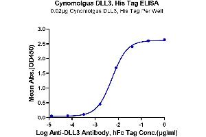 ELISA image for delta Like Protein 3 (DLL3) (AA 27-477) protein (His tag) (ABIN7274480)