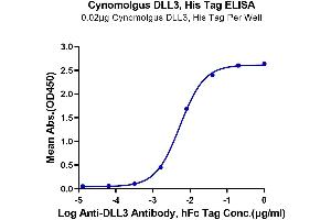 Immobilized Cynomolgus DLL3, His Tag at 0. (DLL3 Protein (AA 27-477) (His tag))