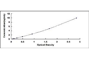 Typical standard curve (DNMT1 ELISA 试剂盒)