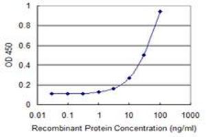 Detection limit for recombinant GST tagged CAMK1G is 1 ng/ml as a capture antibody. (CAMK1G 抗体  (AA 1-476))