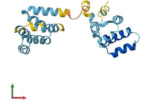 Protein Structure (PS) image for CASP2 and RIPK1 Domain Containing Adaptor with Death Domain (CRADD) (AA 1-199) protein (His tag) (ABIN7562671)