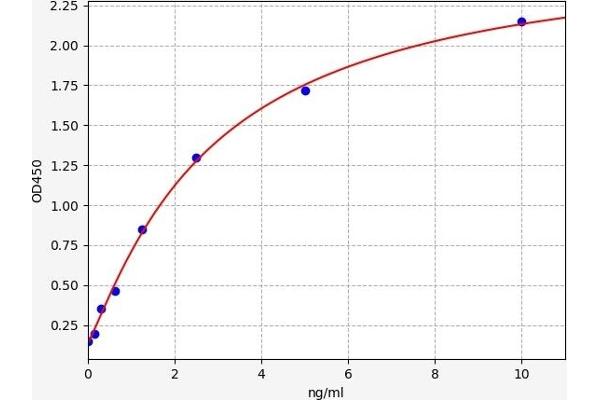 UBR4 ELISA 试剂盒