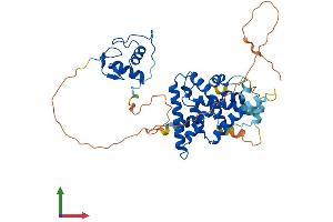 AlphaFold protein structure predicition of Human Recombinant NR2F1 Protein, UniprotID P10589