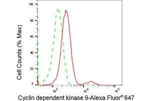 Flow cytometric analysis of Cyclin dependent kinase 9 expression in HepG2 cells using Cyclin dependent kinase 9 antibody (ABIN7798221), 1:2,000). (Recombinant CDK9 抗体)