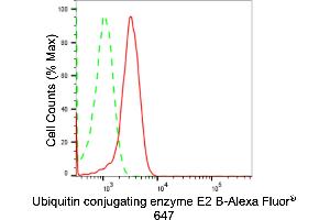 Flow cytometric analysis of Ubiquitin conjugating enzyme E2 B expression in HepG2 cells using Ubiquitin conjugating enzyme E2 B antibody (ABIN7800740), 1:2,000). (Recombinant UBE2B 抗体)
