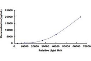ELISA image for Tissue Factor Pathway Inhibitor (Lipoprotein-Associated Coagulation Inhibitor) (TFPI) CLIA Kit (ABIN491872)