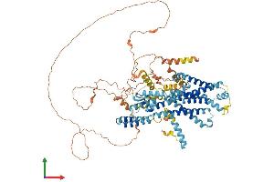 Protein Structure (PS) image for Putative Homeodomain Transcription Factor 2 (PHTF2) (AA 1-785) protein (His tag) (ABIN7550685)