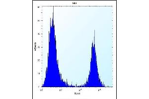 FKBP7 Antibody (C-term) (ABIN656813 and ABIN2846027) flow cytometric analysis of 293 cells (right histogram) compared to a negative control cell (left histogram). (FKBP7 抗体  (C-Term))