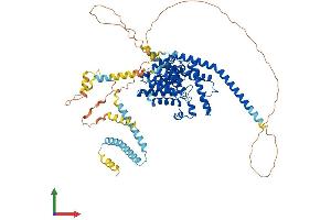 Protein Structure (PS) image for phosphodiesterase 1C, Calmodulin-Dependent 70kDa (PDE1C) (AA 1-706) protein (His tag) (ABIN7557831)
