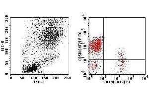 Flow Cytometry (FACS) image for anti-CD2/CD19 (CD2/CD19) antibody (FITC,PE) (ABIN2144434) (CD2/CD19 抗体  (FITC,PE))