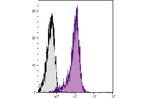 Flow Cytometry (FACS) image for Goat anti-Hamster IgG (Heavy & Light Chain) antibody (PE) - Preadsorbed (ABIN376543)