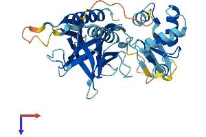 Pleckstrin Protein (PLEK) (AA 1-350) (His tag)