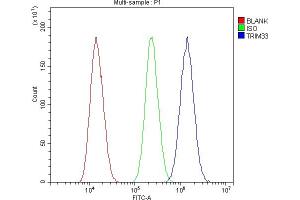 Flow Cytometry analysis of U87 cells using anti-TIF1 gamma antibody (ABIN3043492). (TRIM33 抗体  (AA 1001-1127))