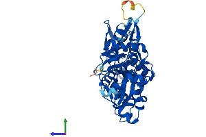 Protein Structure (PS) image for Actin Related Protein M1 (ARPM1) (AA 1-372) protein (His tag) (ABIN7551901)