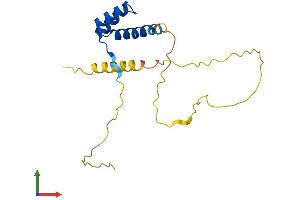 Protein Structure (PS) image for Retina and Anterior Neural Fold Homeobox 2 (RAX2) (AA 1-184) protein (His tag) (ABIN7551186)