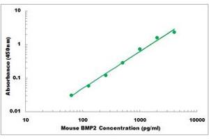 Representative Standard Curve (BMP2 ELISA 试剂盒)