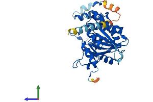 Protein Structure (PS) image for beta-1,3-N-Acetylglucosaminyltransferase 4 (B3GNT4) (AA 1-350) protein (His tag) (ABIN7556998)