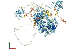 Protein Structure (PS) image for DEAH (Asp-Glu-Ala-His) Box Polypeptide 8 (DHX8) (AA 1-1220) protein (His tag) (ABIN7553665)