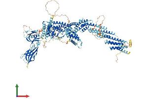 Protein Structure (PS) image for Ca++-Dependent Secretion Activator 2 (CADPS2) (AA 1-1296) protein (His tag) (ABIN7552964)