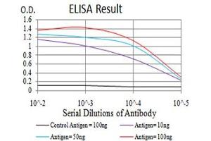 Black line: Control Antigen (100 ng),Purple line: Antigen (10 ng), Blue line: Antigen (50 ng), Red line:Antigen (100 ng) (PRDM14 抗体  (AA 4-203))