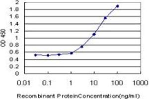 Detection limit for recombinant GST tagged LRG1 is approximately 0. (LRG1 抗体  (AA 37-347))
