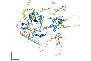 Protein Structure (PS) image for CTF18, Chromosome Transmission Fidelity Factor 18 Homolog (CHTF18) (AA 1-969) protein (His tag) (ABIN7564367)