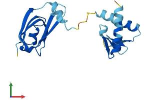 Protein Structure (PS) image for Gem (Nuclear Organelle) Associated Protein 6 (GEMIN6) (AA 1-166) protein (His tag) (ABIN7560702)