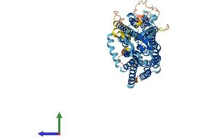 Protein Structure (PS) image for Solute Carrier Organic Anion Transporter Family, Member 2A1 (SLCO2A1) (AA 1-643) protein (His tag) (ABIN7555608)