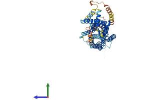 AlphaFold protein structure predicition of Mouse Recombinant Hcrtr1 Protein, UniprotID P58307