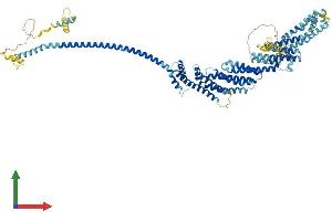 Protein Structure (PS) image for Component of Oligomeric Golgi Complex 3 (COG3) (AA 1-820) protein (His tag) (ABIN7559355)