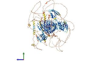 AlphaFold protein structure predicition of Mouse Recombinant Scrib Protein, UniprotID Q80U72 (SCRIB Protein (AA 1-1612) (His tag))
