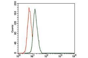 Figure 2: (LMO2 抗体  (AA 1-158))