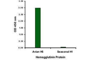 ELISA analysis of Influenza A virus hemagglutinin HA1 protein with 2 ug/mL Influenza A virus hemagglutinin HA1 monoclonal antibody, clone 4E10C10 . (Hemagglutinin 抗体  (AA 17-338))