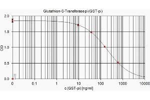 ELISA standard curve showing measurement of GST-pi in a competitive immunoassay using ABIN110088. (GSTP1 抗体)