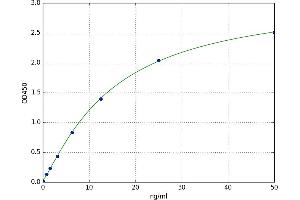 A typical standard curve (CD163 ELISA 试剂盒)