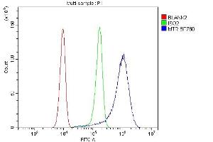 Flow Cytometry analysis of SiHa cells using anti-MTR antibody (ABIN7602599).